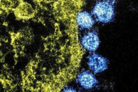 https___www.technologynetworks.com_immunology_news_lessons-from-previous-outbreaks-of-coronavirus-could-inform-current-measures-329744