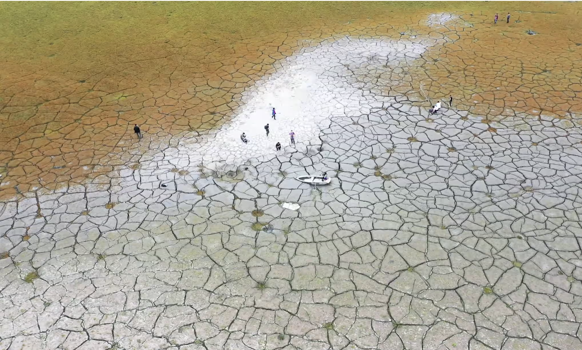 Read more about the article Food security — a soft spot in Taiwan’s silicon shield?